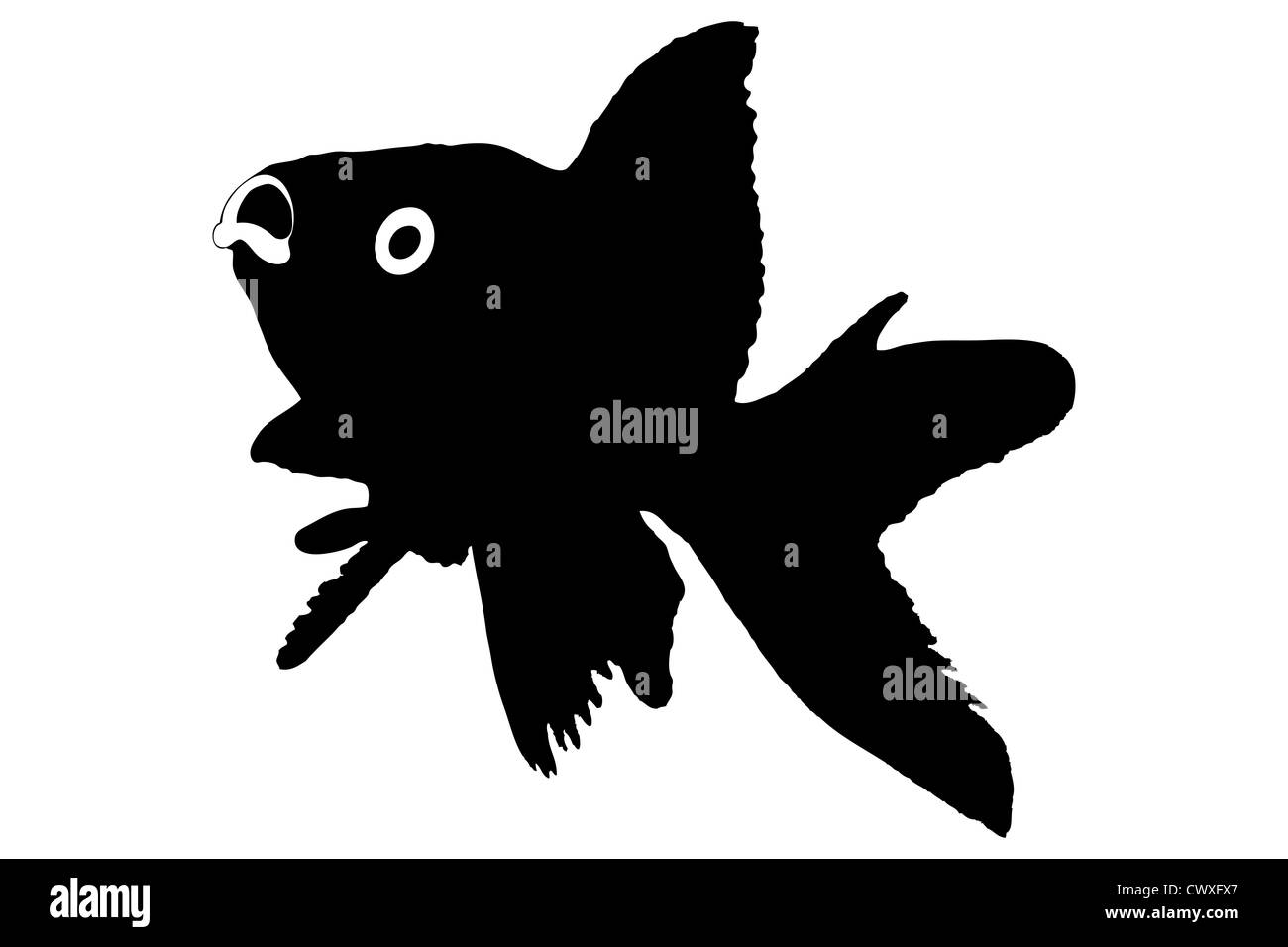 Silhouette d'un poisson isolé sur fond blanc Banque D'Images