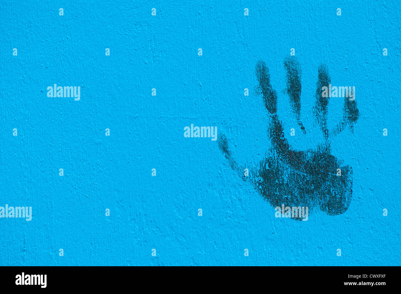 Palm Graffiti sur mur peint en bleu d'impression avec l'espace de copie sur la gauche Banque D'Images