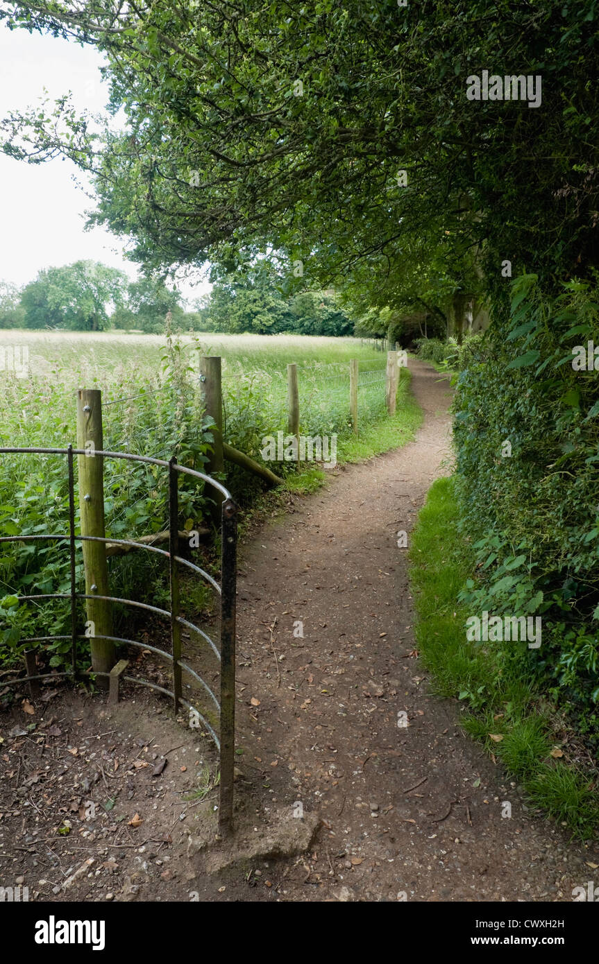 Un chemin reliant le pré à l'Sandwalk à Down House la maison de Charles Darwin et où il aimait à prendre une marche quotidienne. Banque D'Images