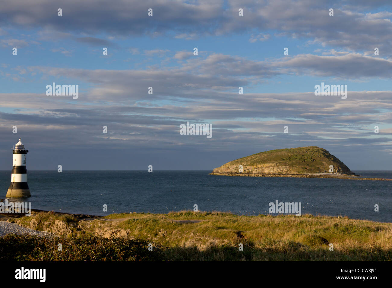 L'île de macareux et le phare Penmon, Anglesey Banque D'Images