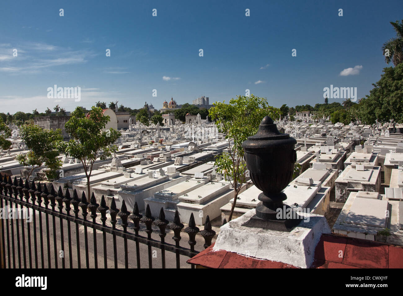 L'immense cimetière Colon abrite aujourd'hui les vestiges de presque autant qu'il y a de résidents vivant dans la ville de La Havane, Cuba. Banque D'Images