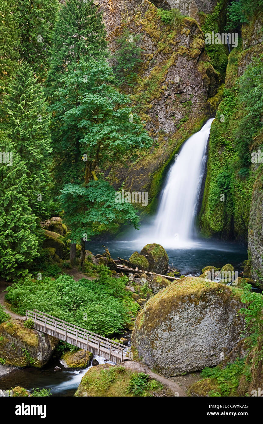 Wahclella Falls, Columbia River Gorge National Scenic Area, Oregon. Banque D'Images