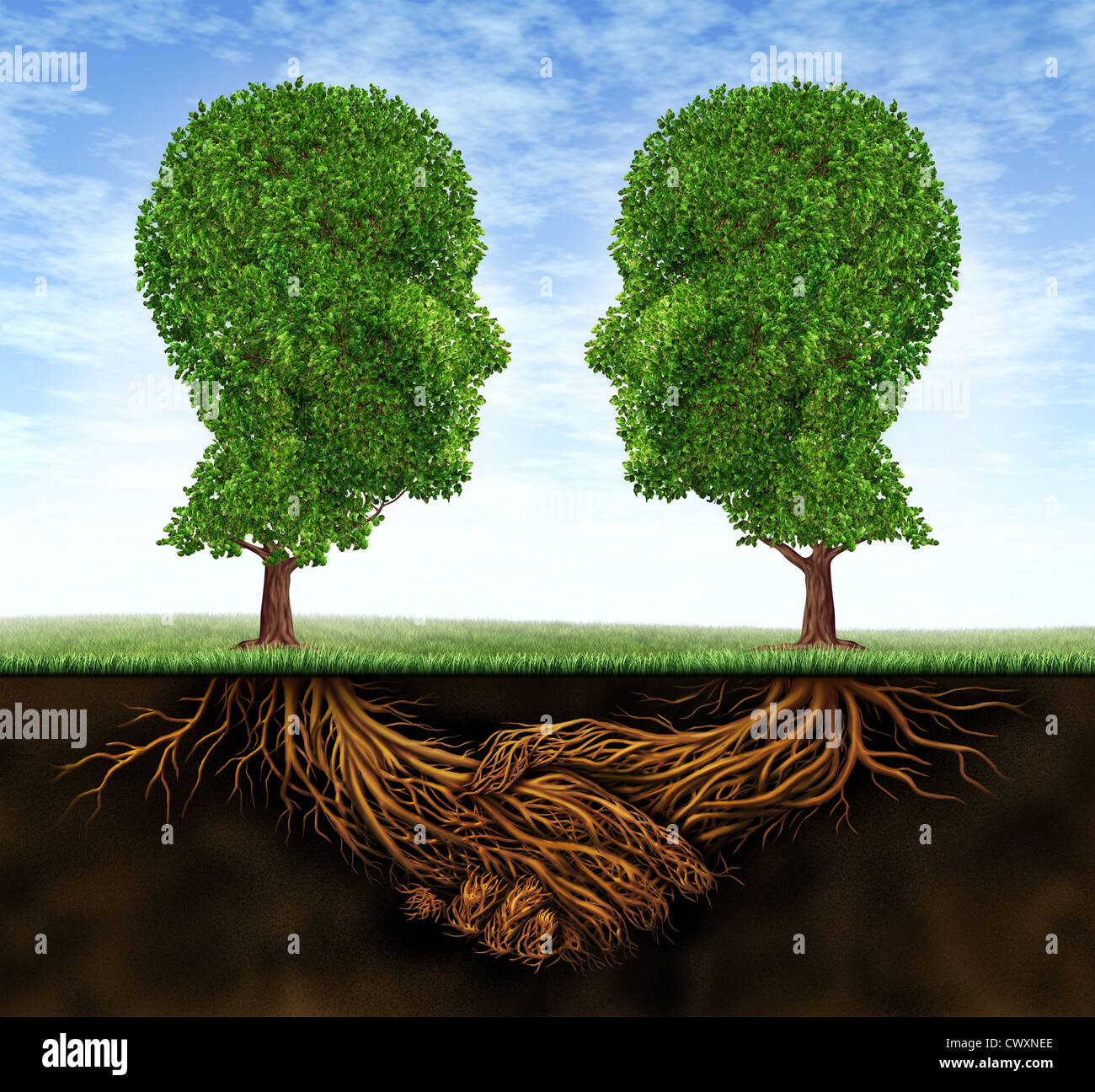 Équipe de collaboration commerciale et de croissance avec des racines dans la forme d'une main et secouer les arbres comme des têtes humaines pour la confiance et l'intégrité dans une relation financière de plus en plus forte pour la réussite de la richesse. Banque D'Images