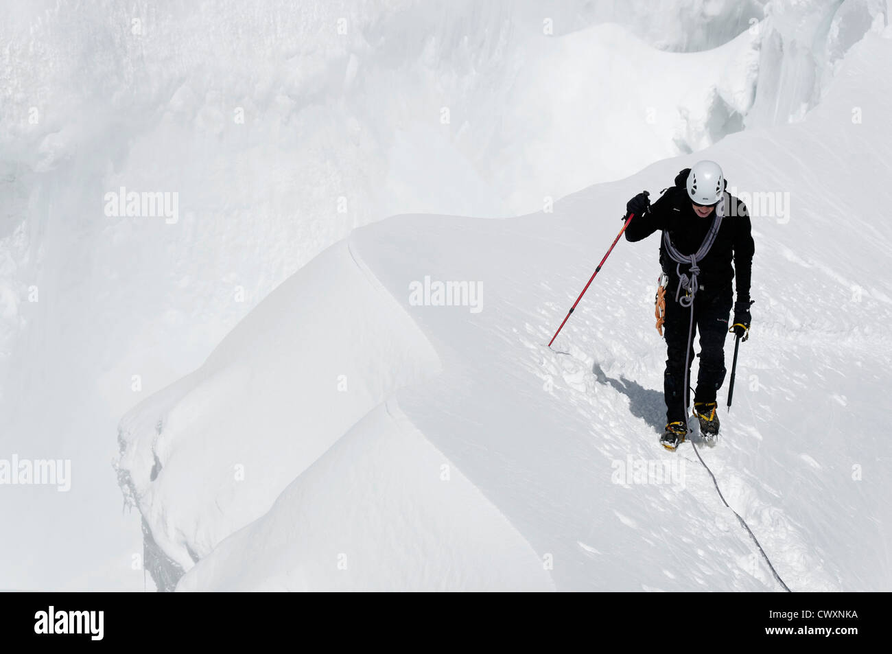 Encordés sur un glacier dans les Alpes Bernina Banque D'Images