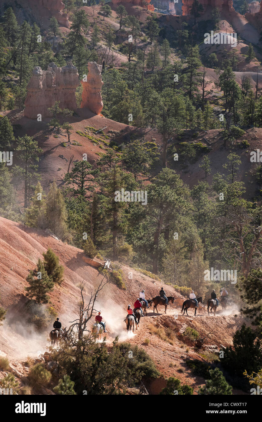 Chevaux sur la piste d'équitation Queens Garden, Sunrise Point, Bryce Canyon National Park, Utah. Banque D'Images