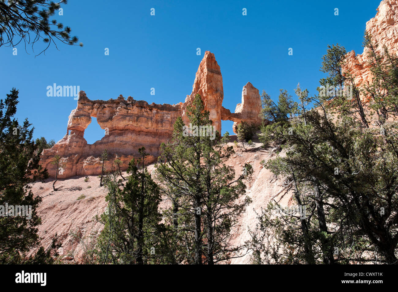 Tower Bridge, Fairyland Loop Trail, Bryce Canyon National Park, Utah. Banque D'Images