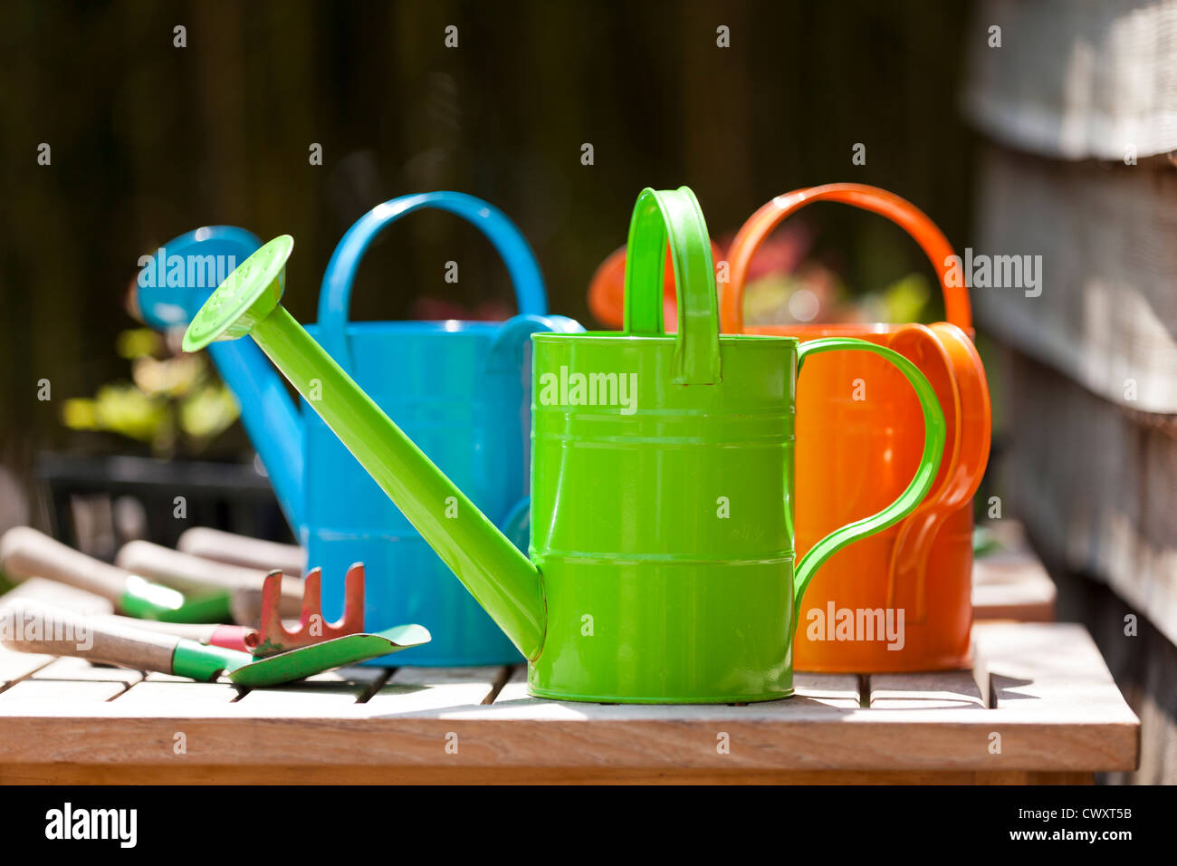 Enfants colorés d'arrosoirs et outils de jardin Banque D'Images