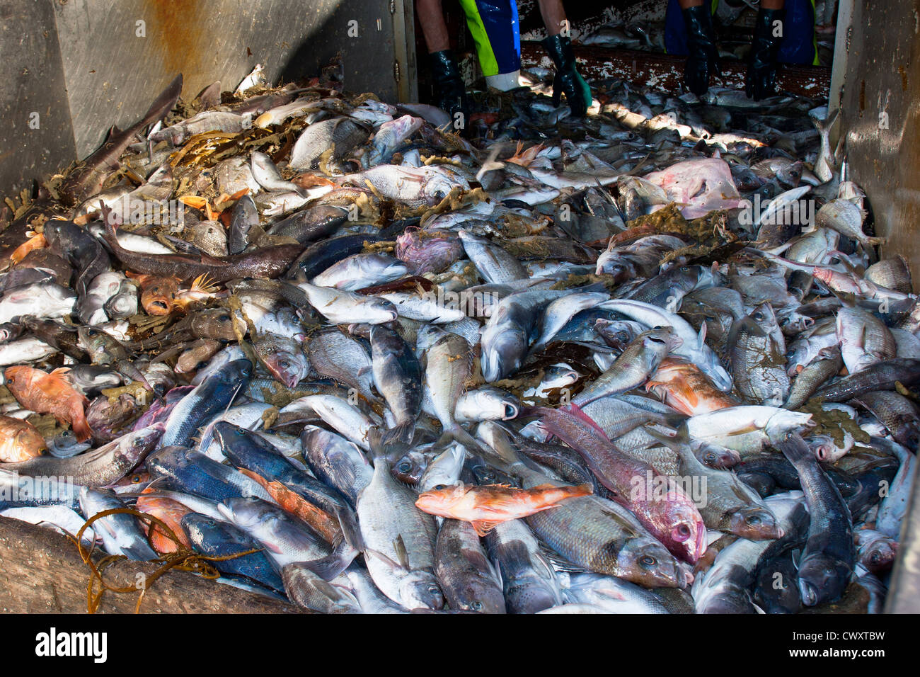 Courriers de chalut, sur un chalutier de pêche commerciale. Banque D'Images