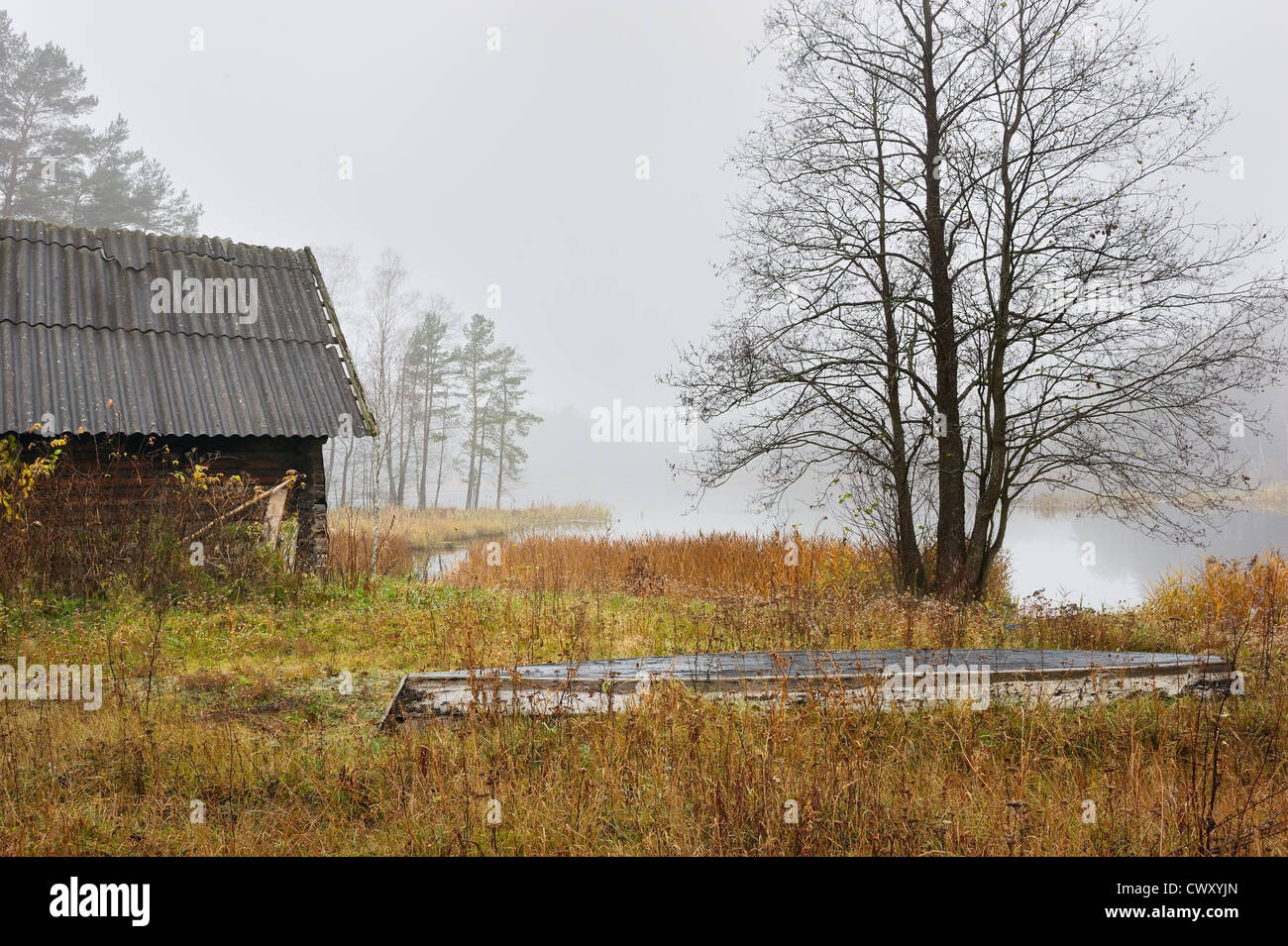 Сloudy matin d'automne, la brume sur le lac. Banque D'Images