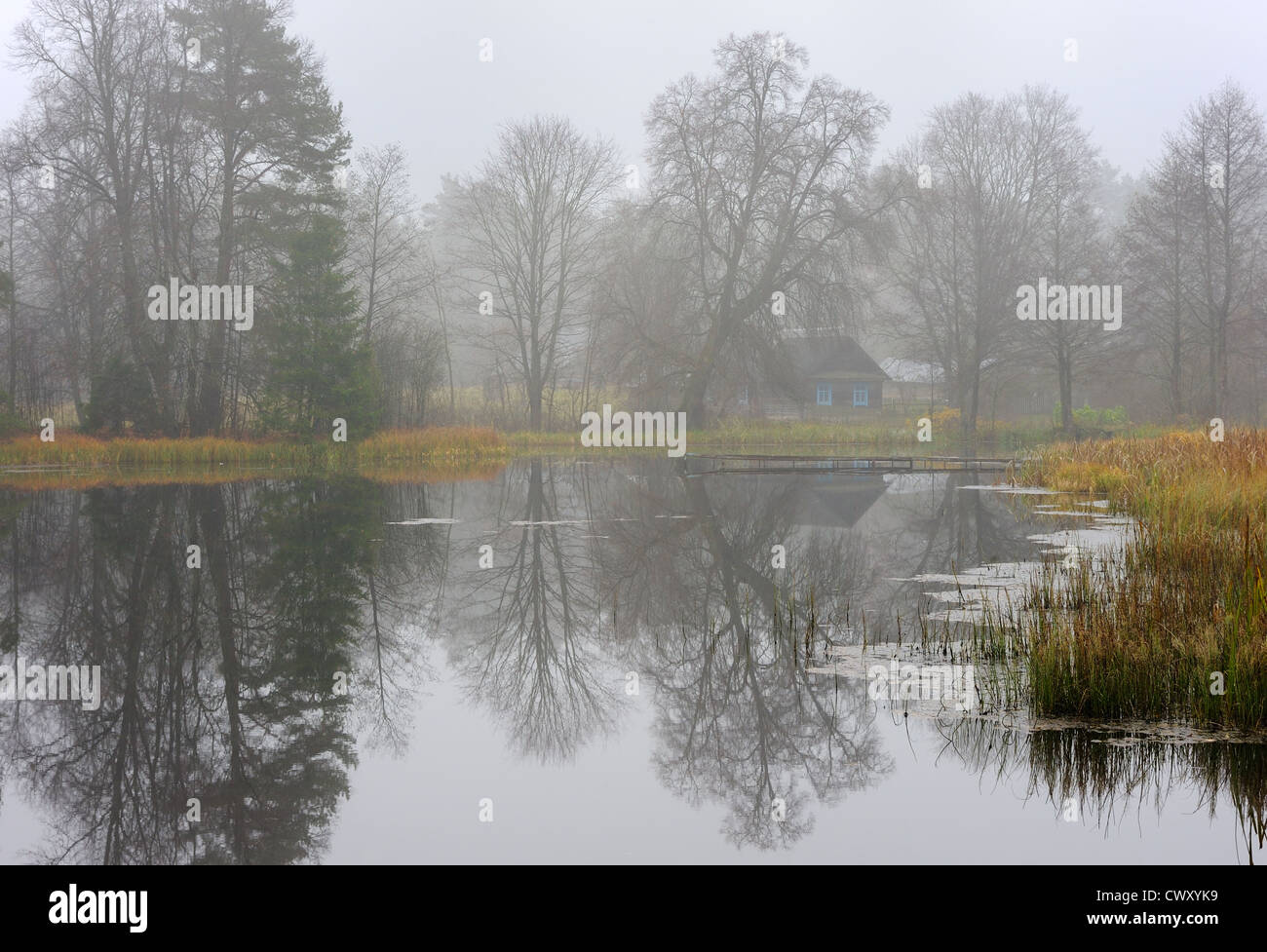 Сloudy matin d'automne, la brume sur le lac. Banque D'Images