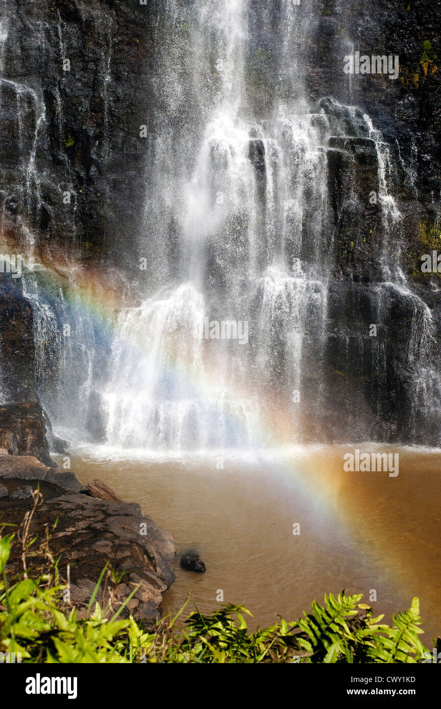 Arc-en-ciel sur la cascade de Tad Yeung Pakxong, Laos Banque D'Images