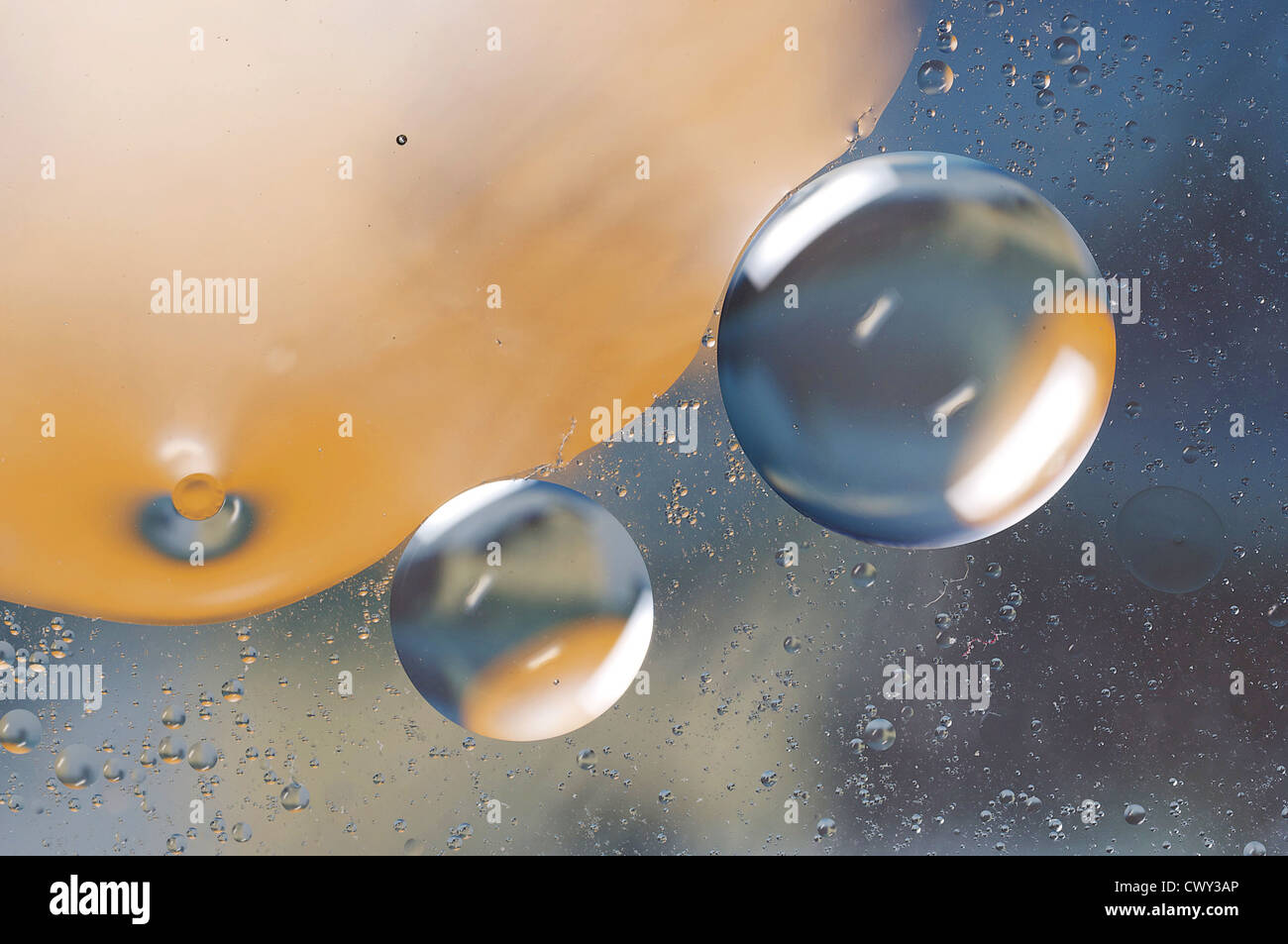 Bulles d'eau sur un mince film d'huile Banque D'Images