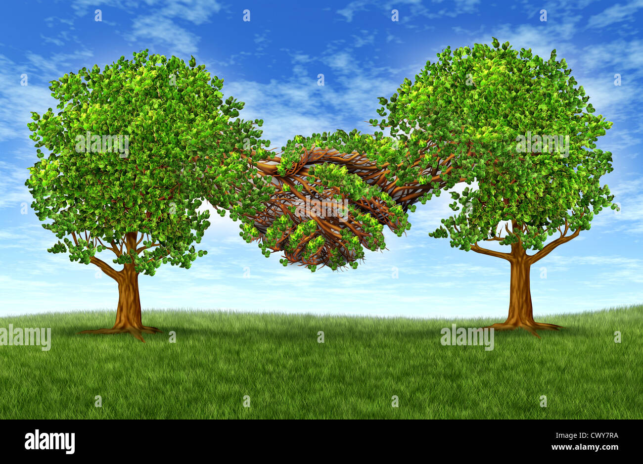 Partenariat d'affaires avec succès la croissance de plus en plus deux arbres gree en forme de main deux mains ensemble comme un symbole de l'Accord et contrat entre deux entreprises ou hommes d'affaires. Banque D'Images