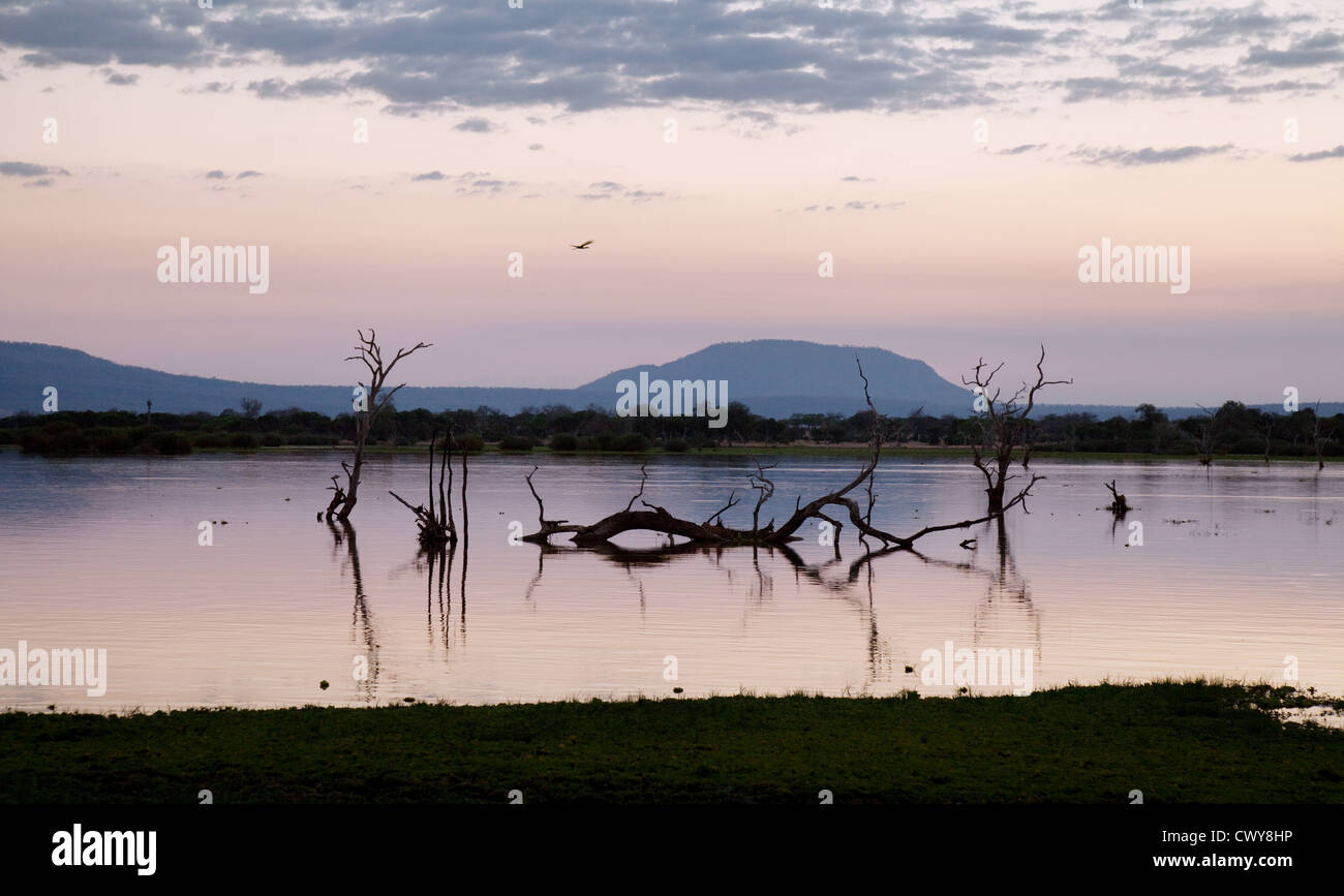 Au crépuscule après le coucher du soleil au lac Manze, le Selous, Tanzanie Afrique Banque D'Images