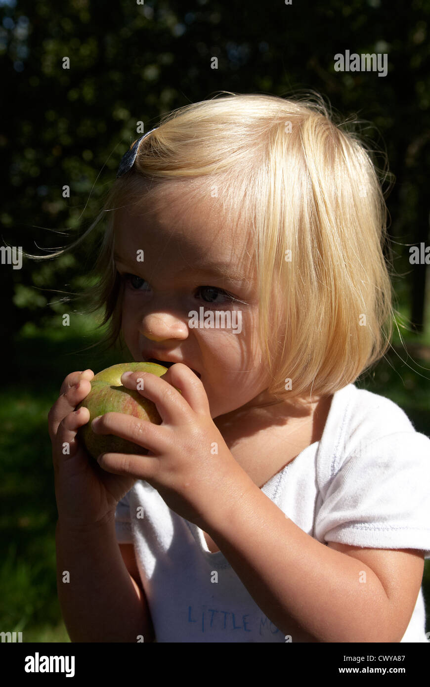 Enfant Bebe Fille Blonde Picking Pomme Fruit D Un Arbre De L Ete 1 2 Ans Photo Stock Alamy Enfant Bebe Fille Blonde Picking Pomme Fruit D Un Arbre De L Ete 1 2 Ans Photo Stock Alamy