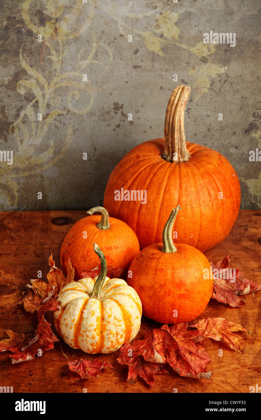 La citrouille et la courge décorative de l'automne avec les feuilles d'automne sur une table en bois. Banque D'Images