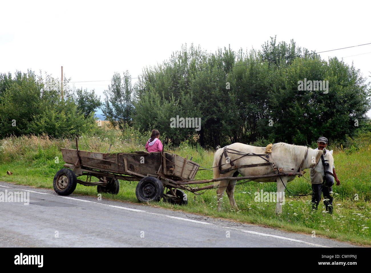 Neamt, Roumanie Cheval et panier Banque D'Images