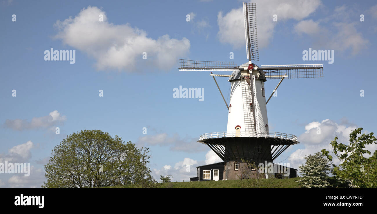 Moulin, Veere, Walcheren, Zélande, Pays-Bas, Europe Banque D'Images