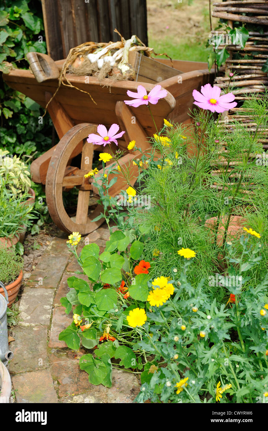 Frontière d'été de cosmos et de maïs avec du souci brouette et conduisant à la porte du jardin Banque D'Images