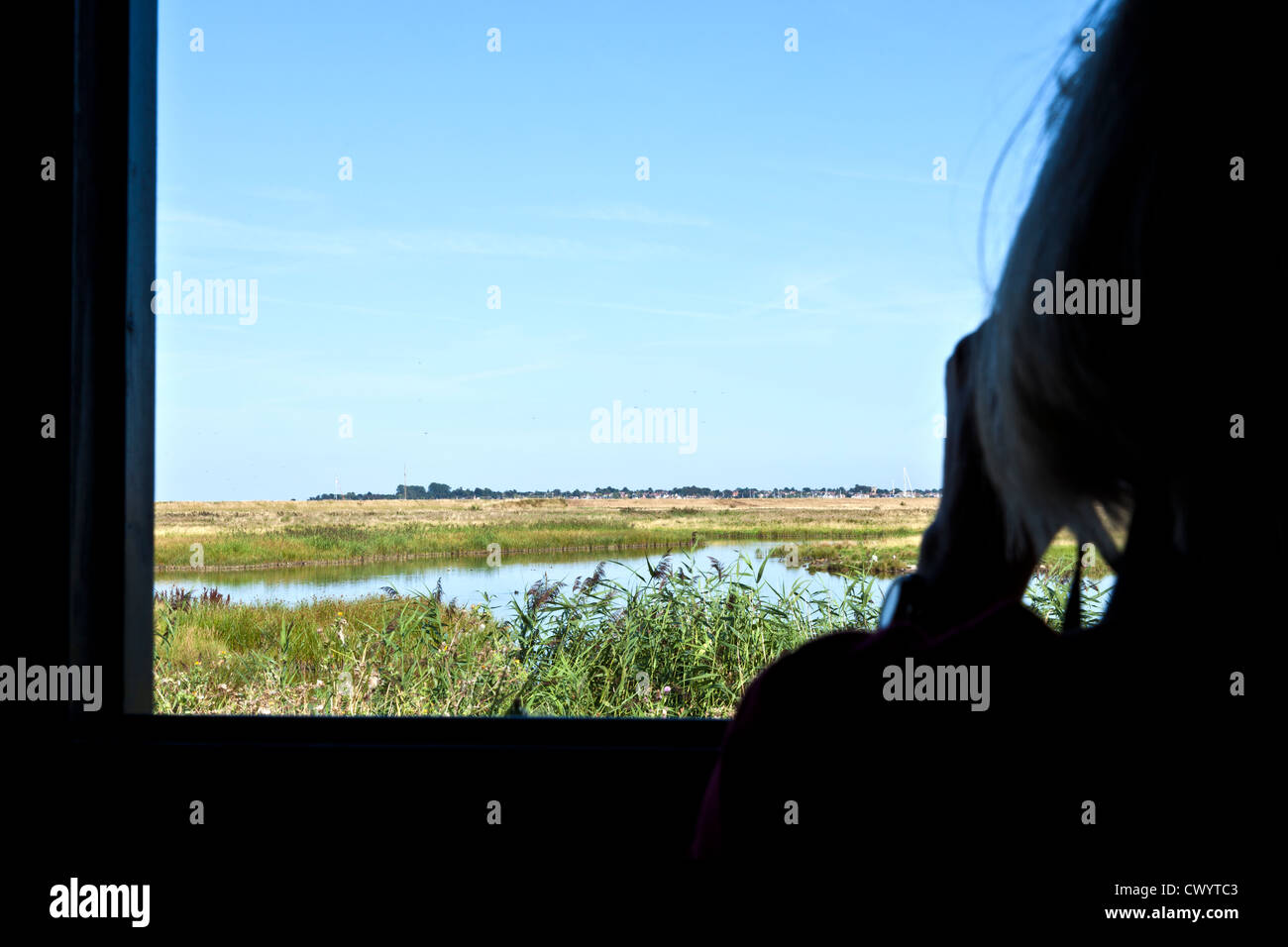 Silhouette d'une partie des observateurs d'oiseaux à masquer des oiseaux avec des jumelles Banque D'Images