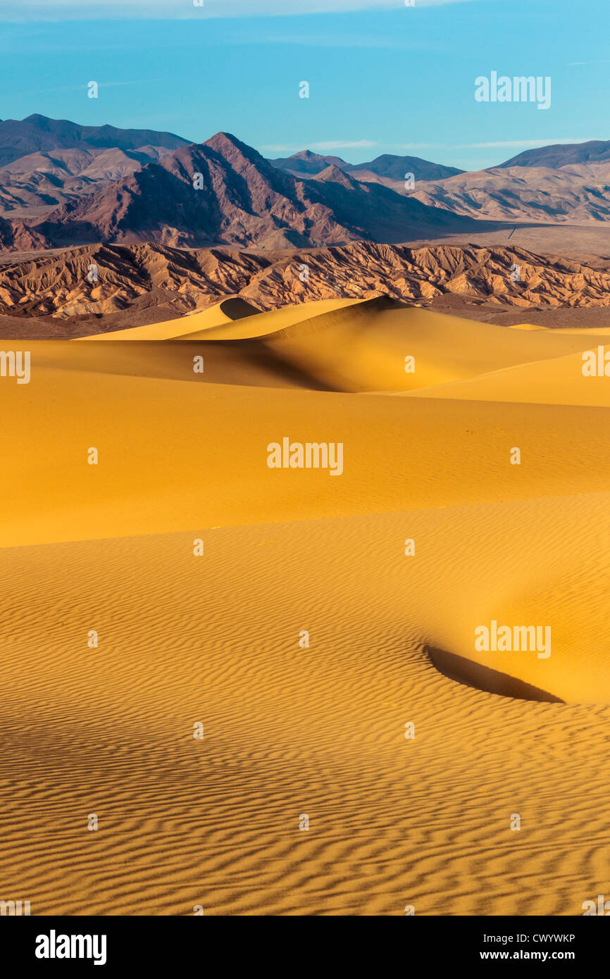 Stovepipe Wells dunes de sable au coucher du soleil dans la vallée de la mort Banque D'Images