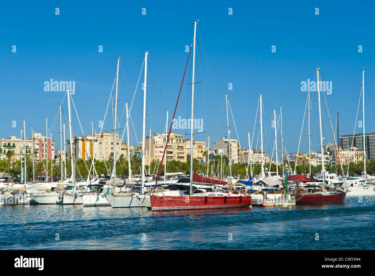 Marina avec des yachts amarrés au port Vell Barcelona La Catalogne Espagne ES Banque D'Images