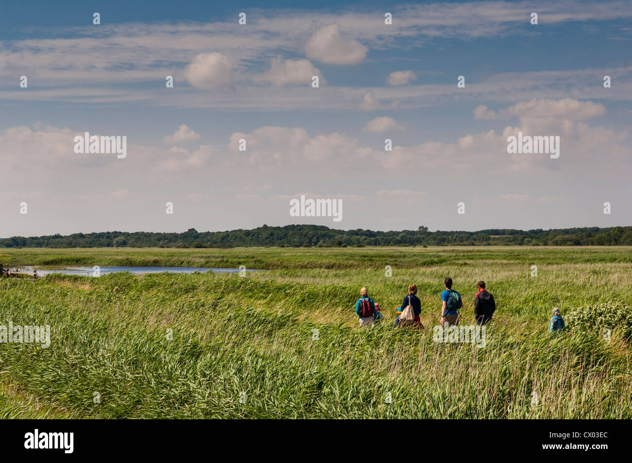 Les gens qui marchent à la réserve d'oiseaux RSPB Minsmere dans Suffolk , Angleterre , Angleterre , Royaume-Uni Banque D'Images