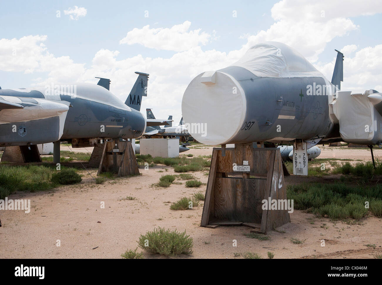 Des avions F-15 Eagle en stock à l'entretien et la régénération de l'aéronautique 309e groupe à la base aérienne Davis-Monthan Air Force Base. Banque D'Images