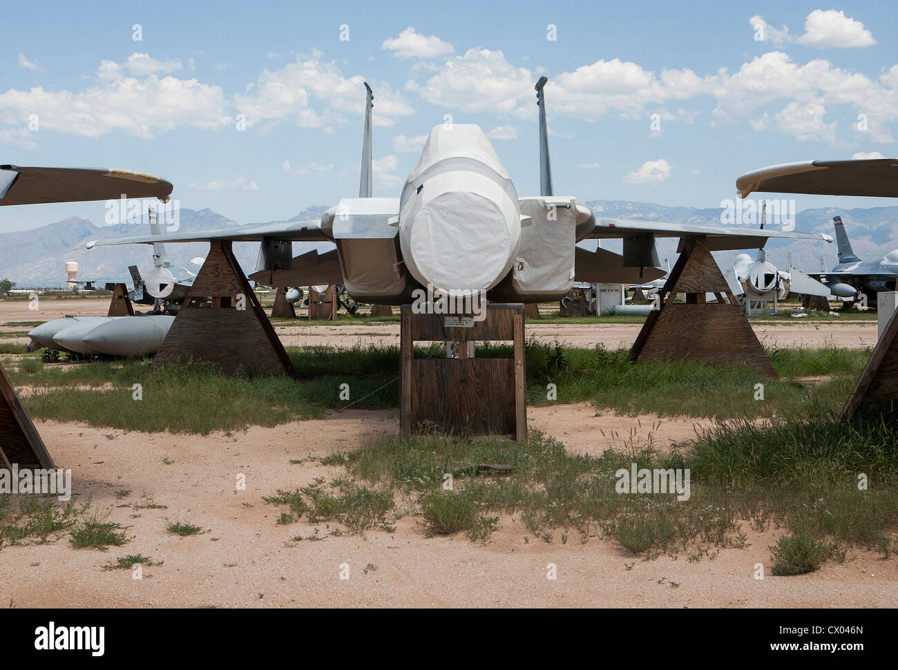 Des avions F-15 Eagle en stock à l'entretien et la régénération de l'aéronautique 309e groupe à la base aérienne Davis-Monthan Air Force Base. Banque D'Images