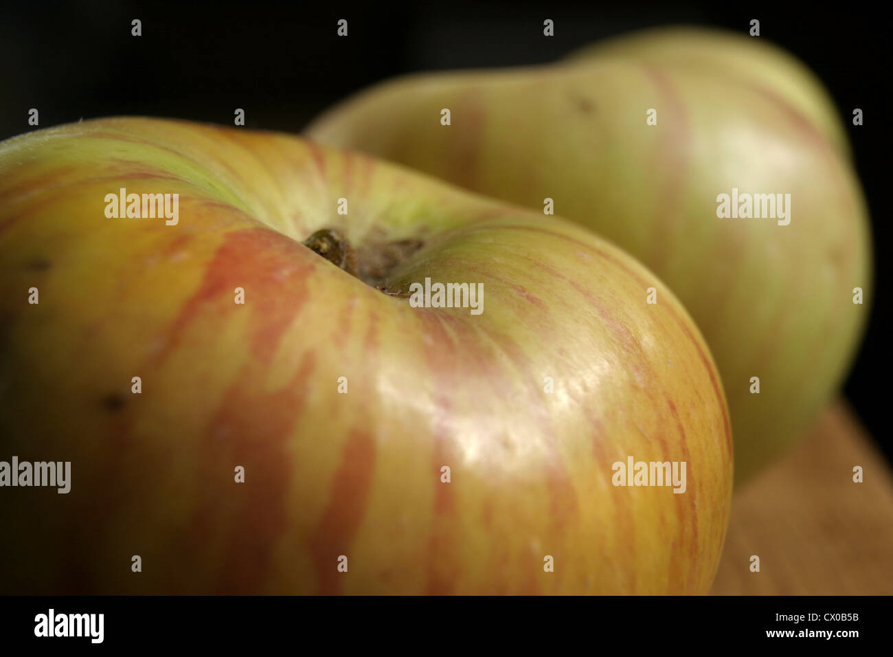 Photo : Steve Race - fraîchement cueilli Bramley's Seedling pommes (Malus domestica). Banque D'Images