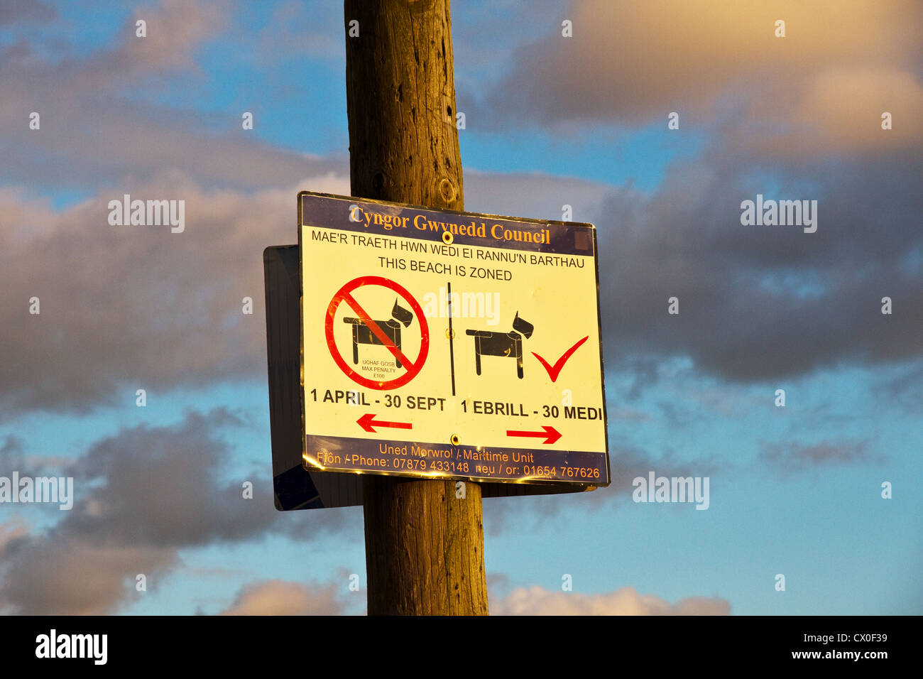 Inscrivez-montrant la zone où les chiens ne sont pas admis, Aberdyfi (Aberdovey) plage (soir), l'estuaire Dyfi, Gwynedd, au nord du Pays de Galles, Royaume-Uni Banque D'Images