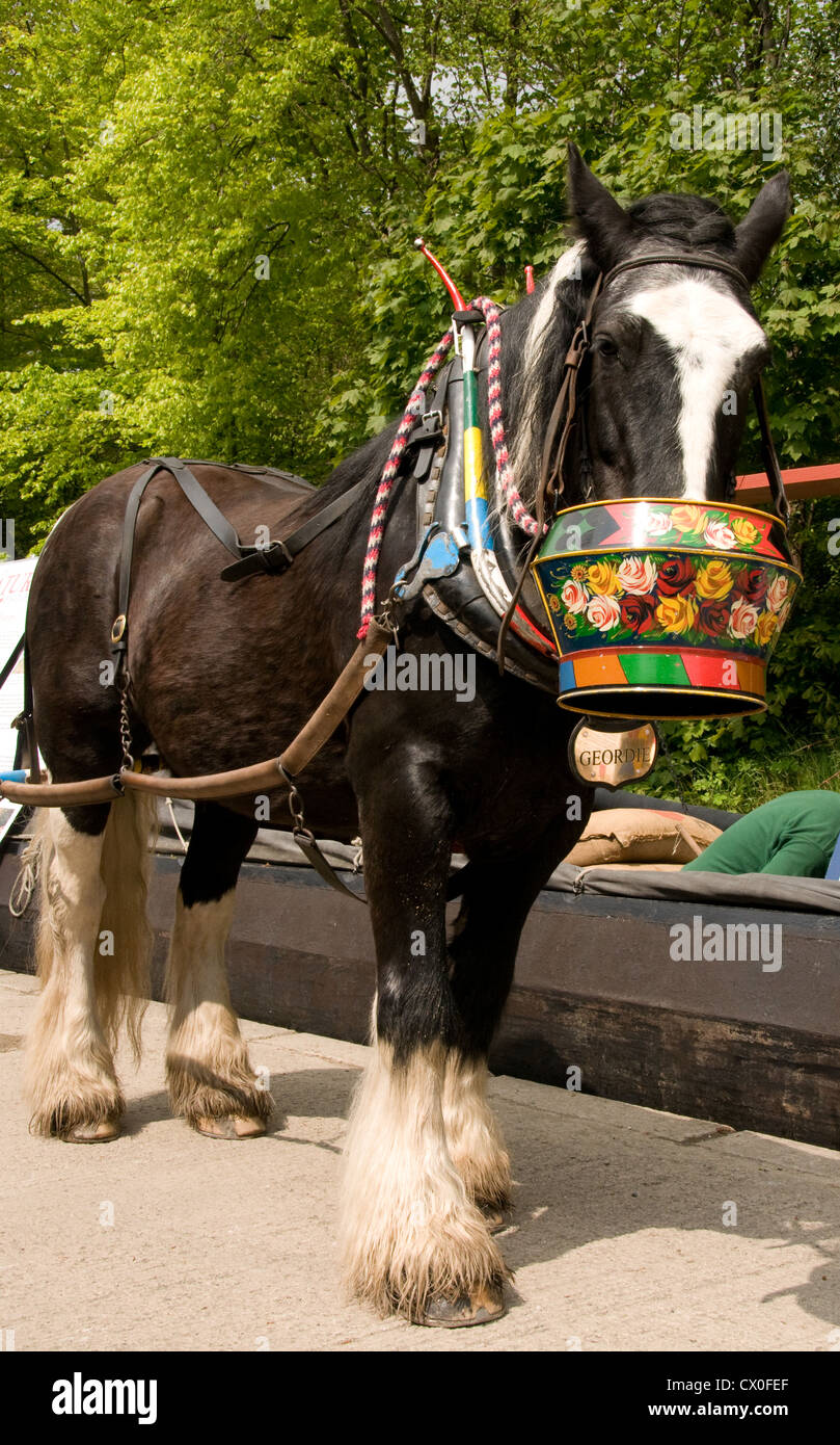 Un canalboat rss de cheval c'est l'étain d'alimentation Banque D'Images