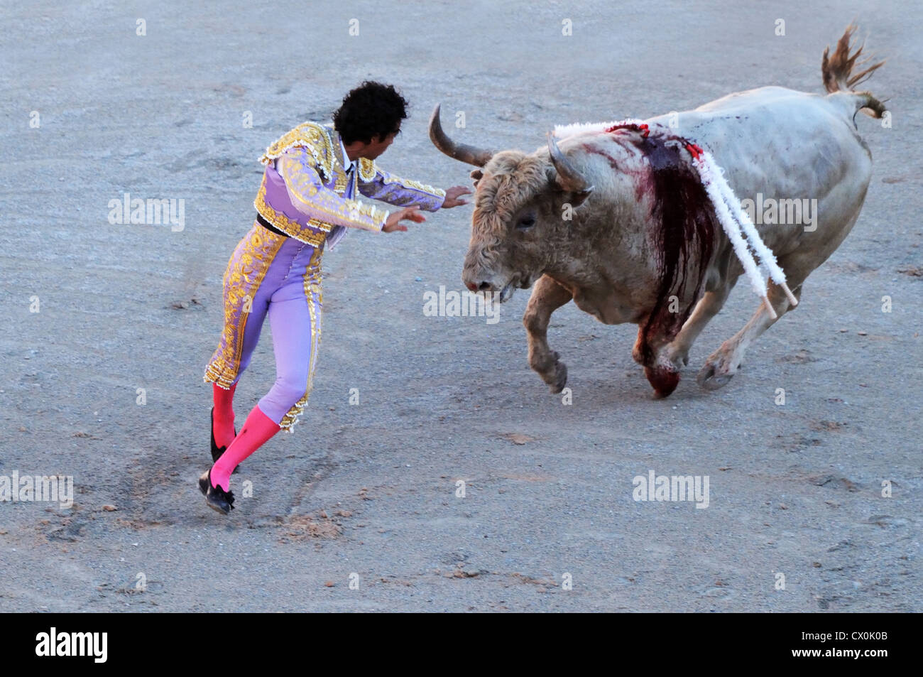 Matador exécutant d'échapper à la charge bull en corrida Corrida dans l'arène romaine Arles France Banque D'Images