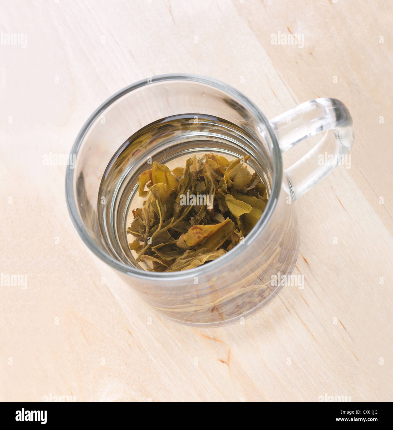 Tasse en verre de thé vert avec des feuilles, closeup Banque D'Images