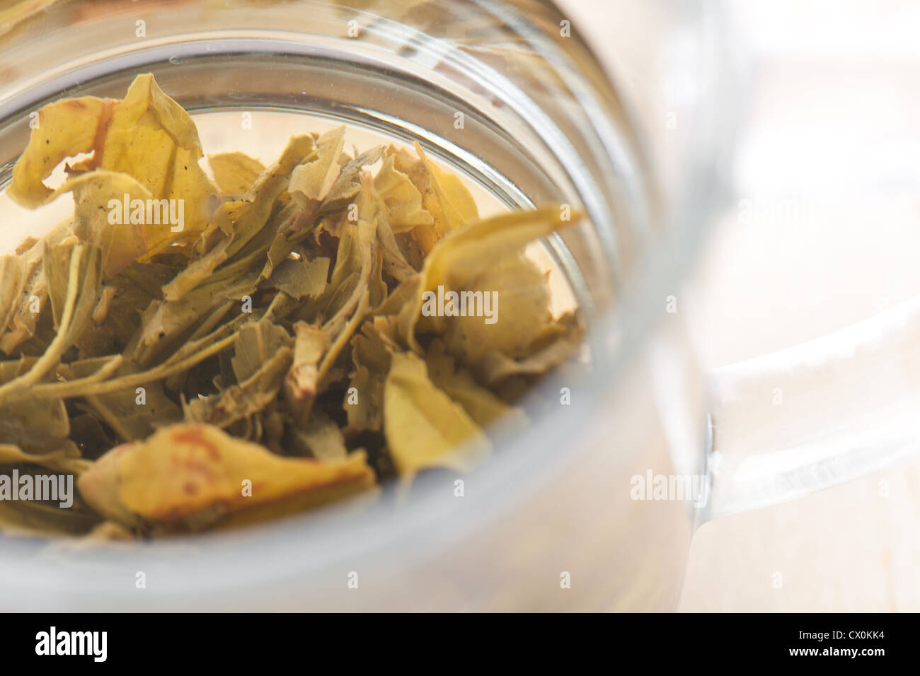 Tasse en verre de thé vert avec des feuilles, macro shot Banque D'Images