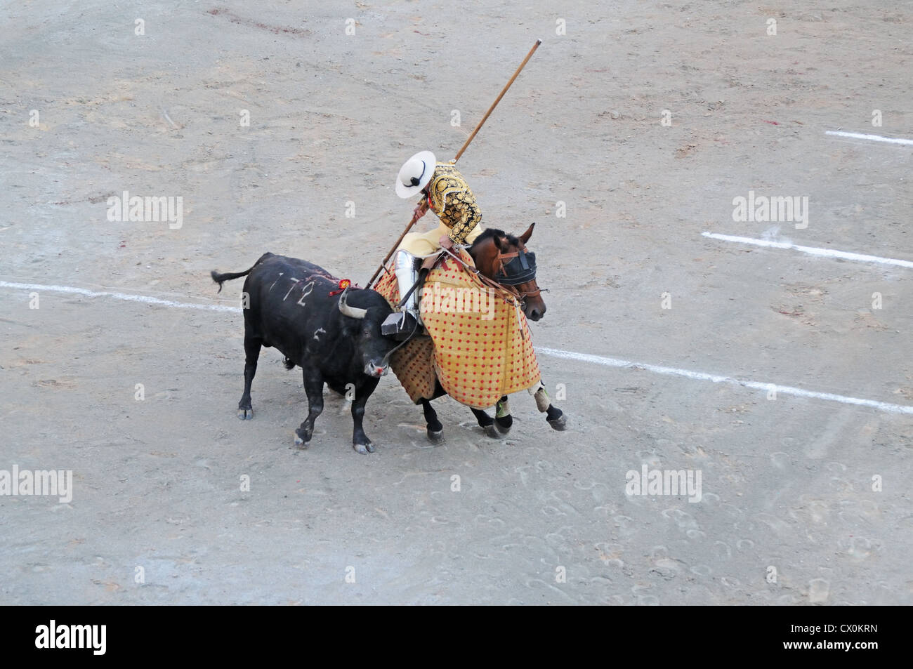 Picador monté sur l'protégés par des lances Pelo bull en arène romaine amphithéâtre ou à Arles France en corrida Corrida Banque D'Images