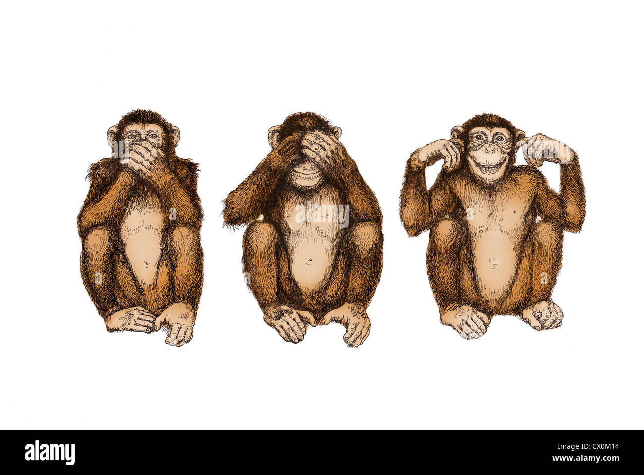 Dessin Illustration : trois singes sages - voir, entendre, ne disent pas le mal Banque D'Images