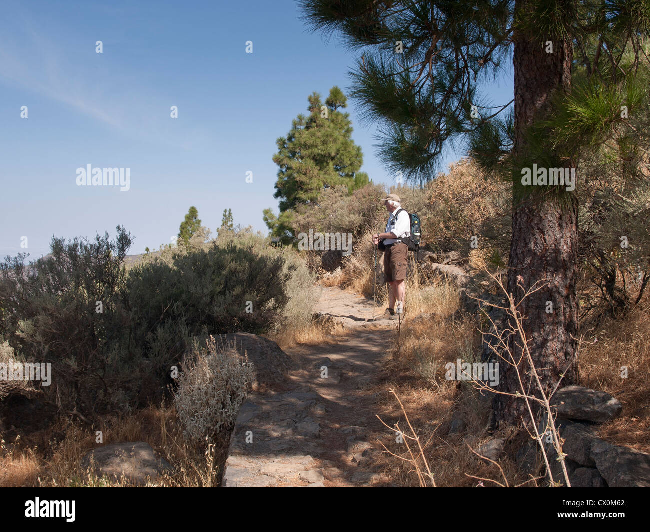 Roque Nublo à Gran Canaria, le haut est 1813 m de haut, une destination pour les touristes et randonneurs, randonneur sur le chemin autour de la partie supérieure Banque D'Images