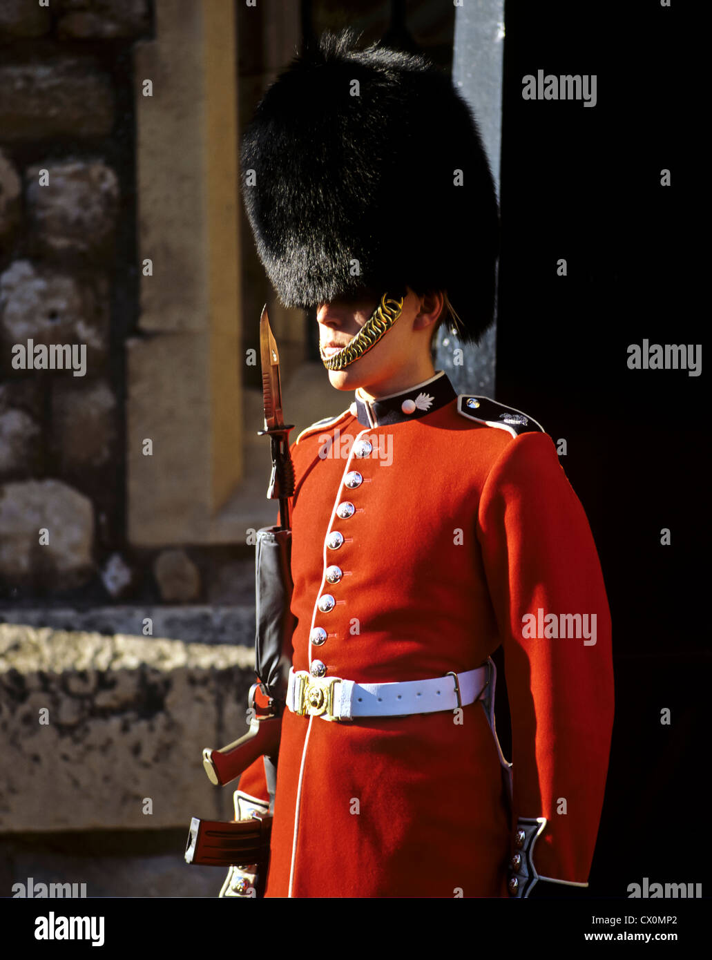8204. Guardsman, Londres, Angleterre, Europe Banque D'Images