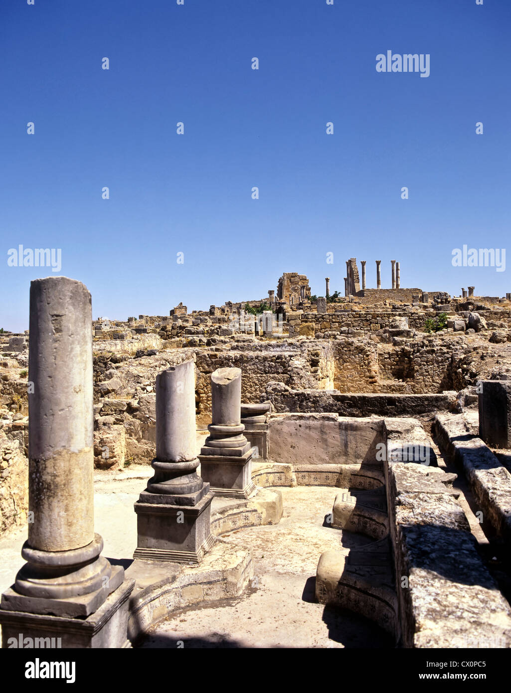 8257. Vestiges romains, Voloubilis, Maroc Banque D'Images