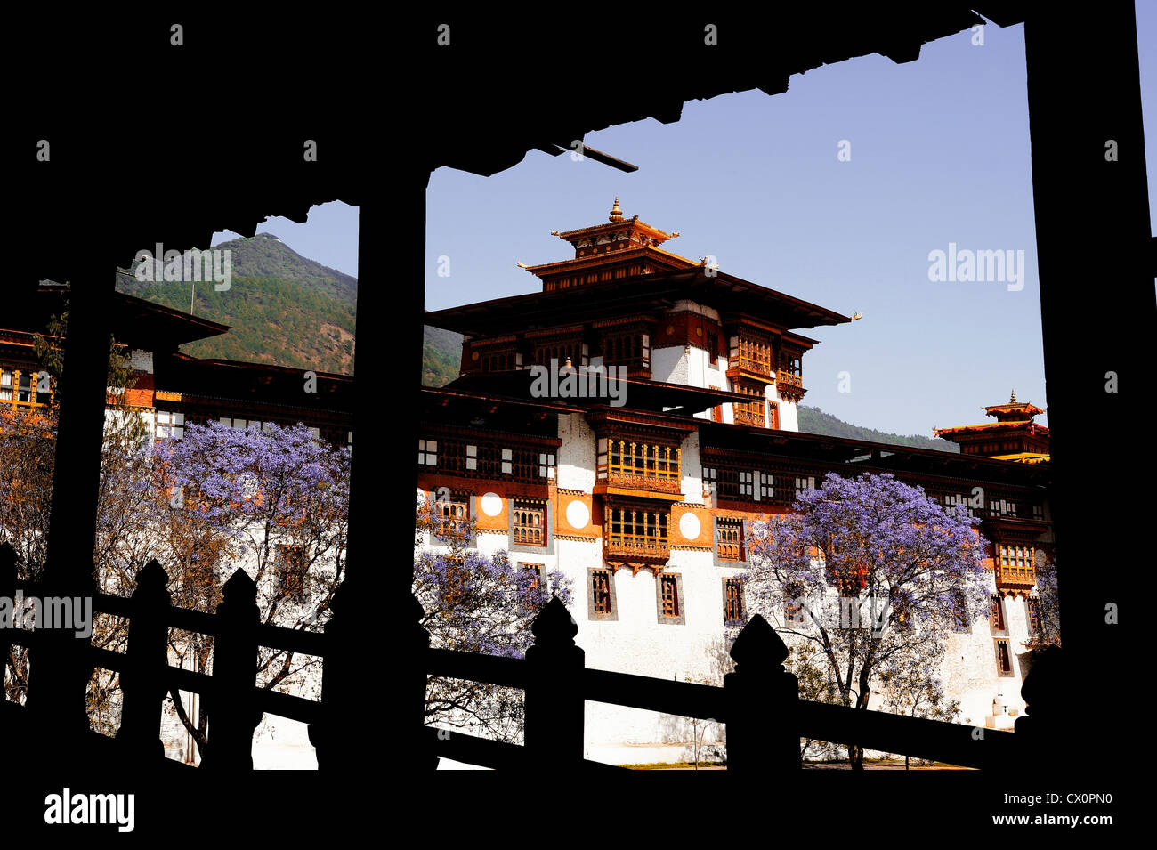 Le Punakha Dzong, est le centre administratif de Punakha dzongkhag dans Punakha, Bhoutan Banque D'Images