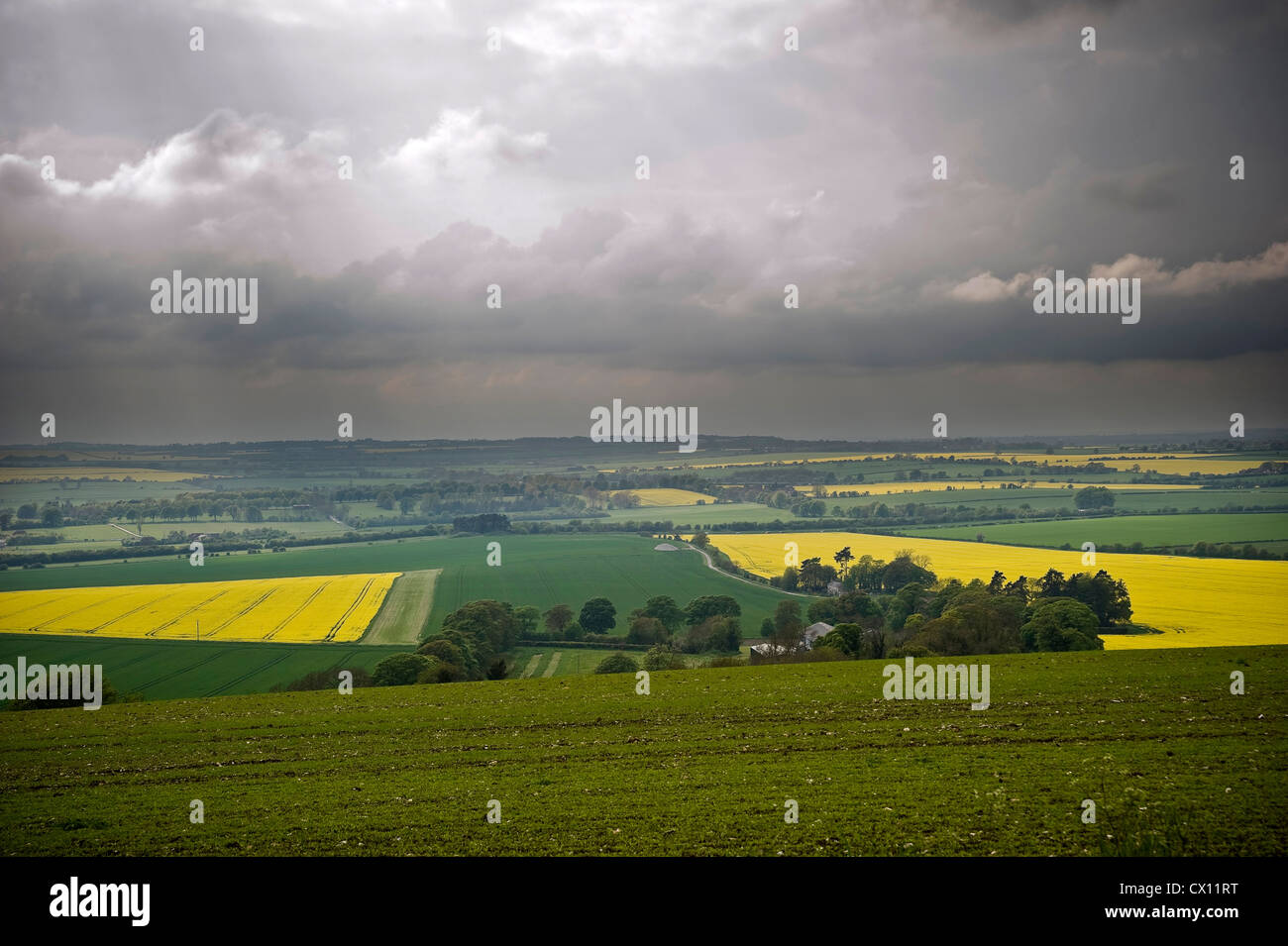Vue depuis le chemin d'interurbains Ridgeway près de Chiseldon, Wiltshire, Royaume-Uni Banque D'Images