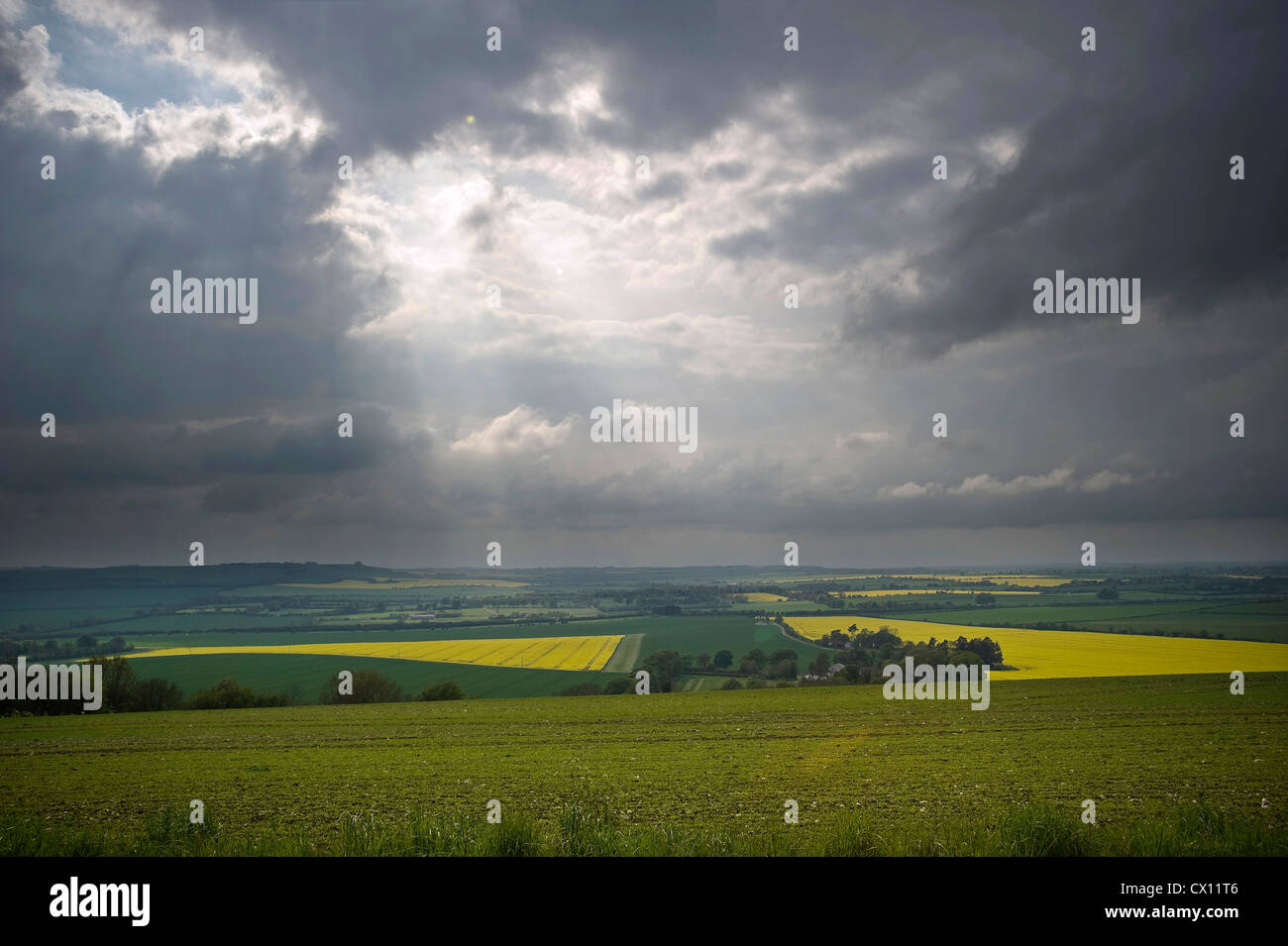 Vue depuis le chemin d'interurbains Ridgeway près de Chiseldon, Wiltshire, Royaume-Uni Banque D'Images