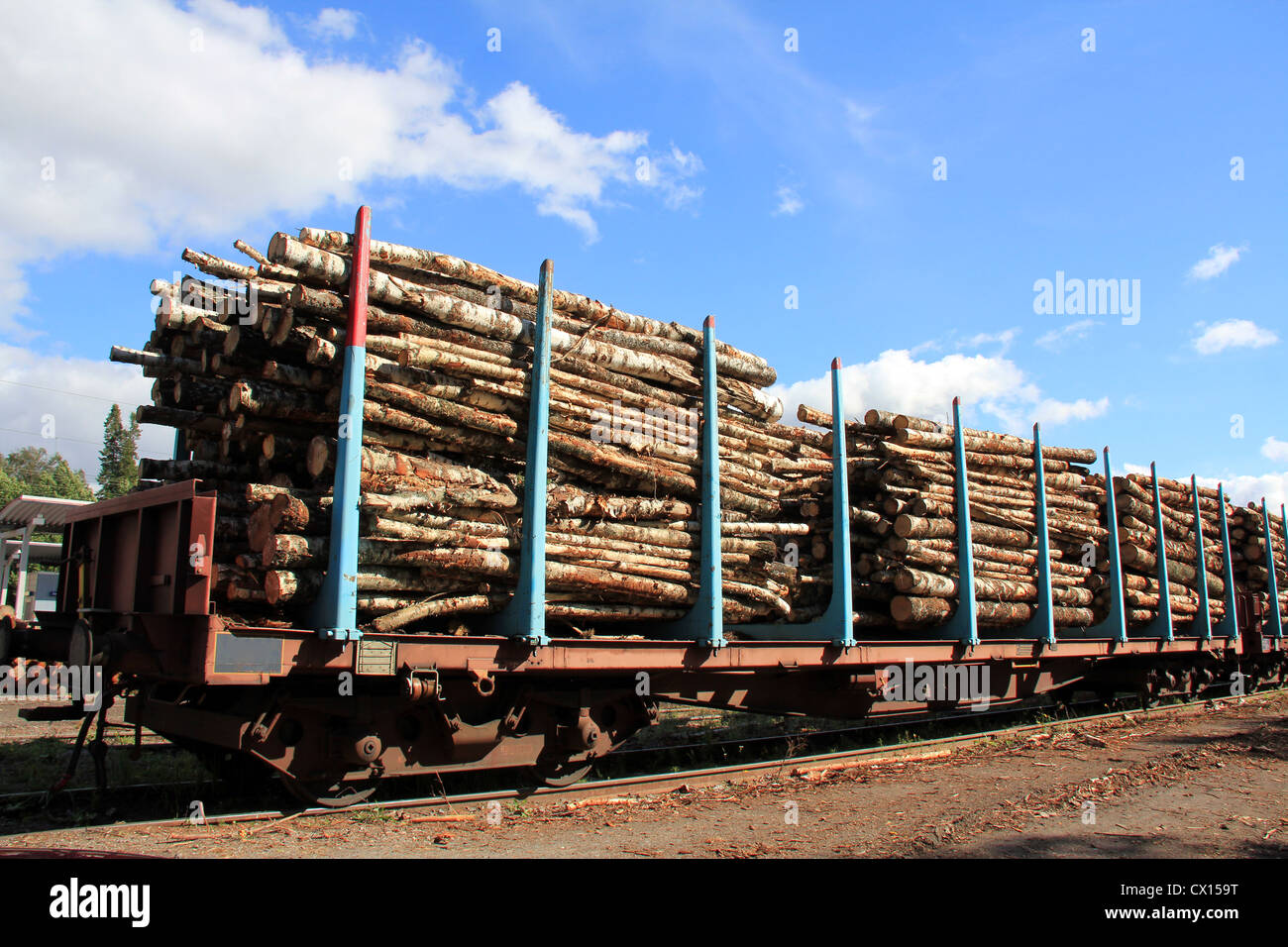 Transporter le bois sur les wagons Banque D'Images
