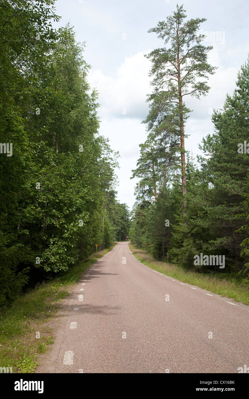 Route goudronnée à travers forêt, suédois, Suède, Gasterikland Trollsparvens Banque D'Images