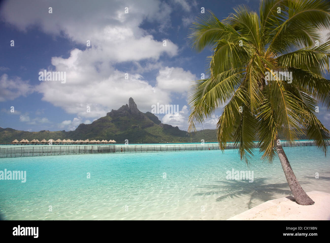 Vue sur le lagon tropical beach & pour le Mont Otemanu, Bora Bora, Polynésie française. Banque D'Images