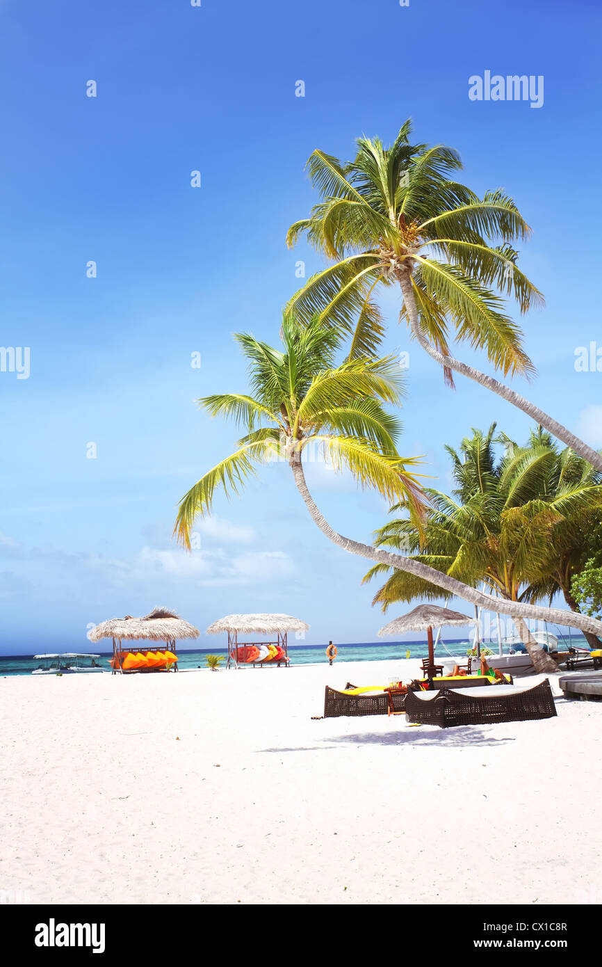 Photo de paysage de cocotiers et divans sur plage de sable blanc avec ciel bleu Banque D'Images