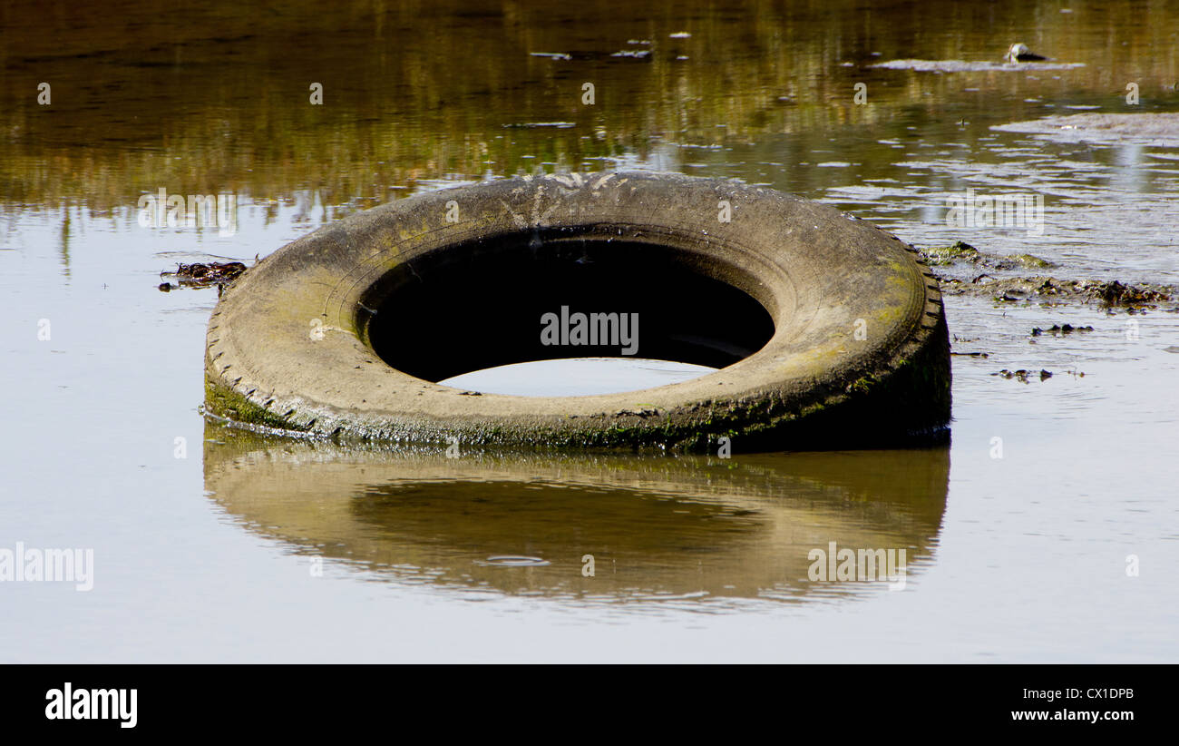 Seul véhicule de pneus pneus abandonnés dans l'eau, avec la réflexion Banque D'Images