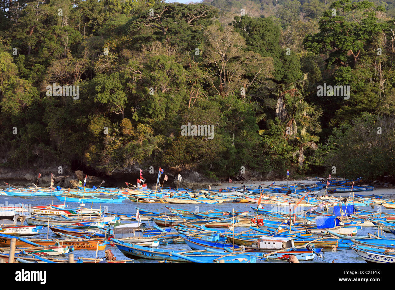 Bateau de pêche à balancier en bois la flotte au large de la plage de Pangandaran, Ouest de Java. Banque D'Images