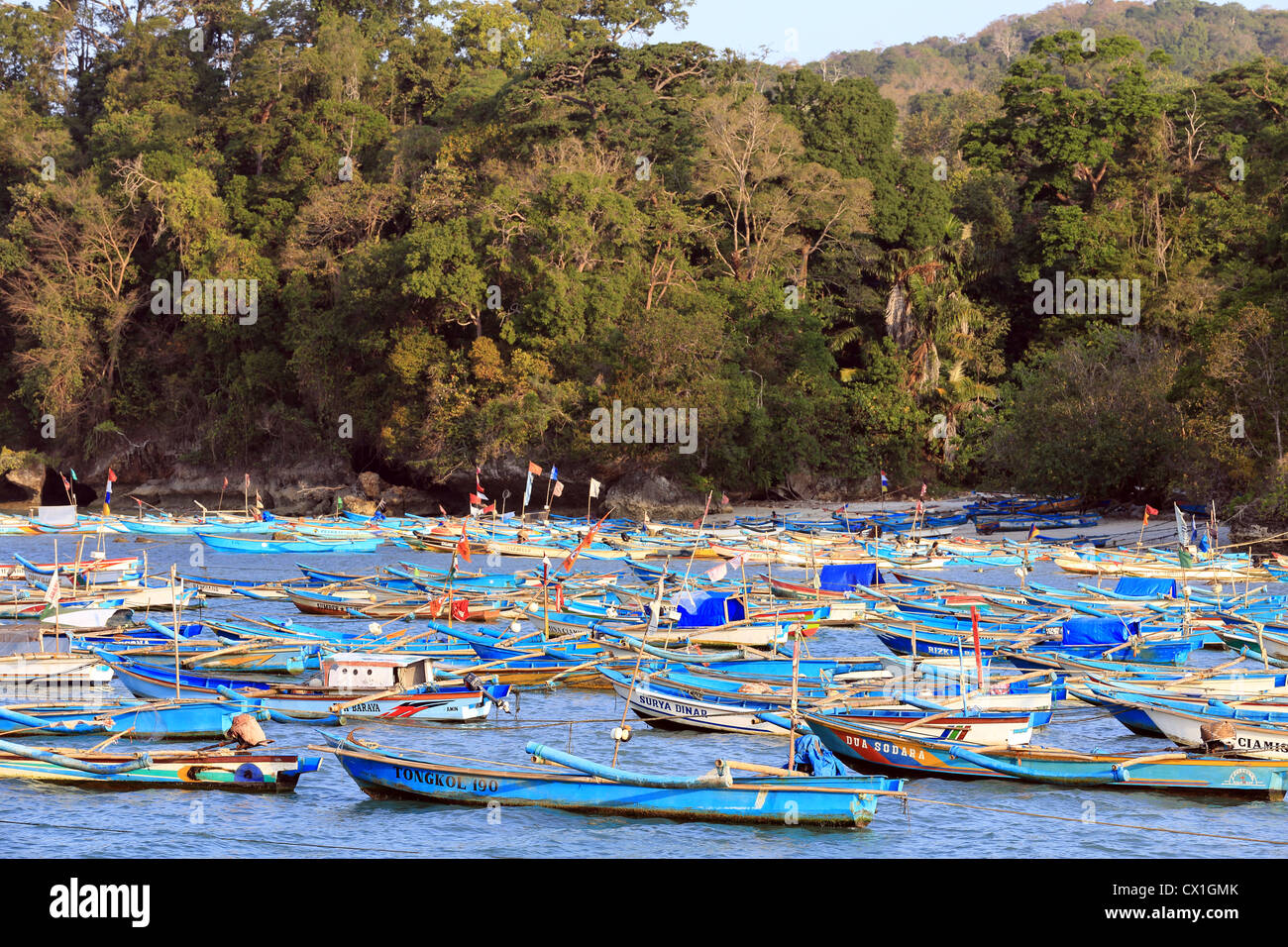 Bateau de pêche à balancier en bois la flotte au large de la plage de Pangandaran, Ouest de Java. Banque D'Images